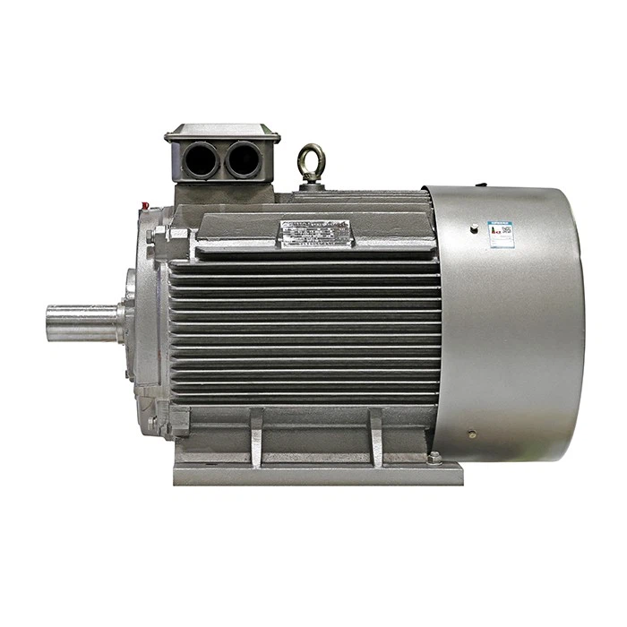 YE2 Asynchronous Three Phase Motor
